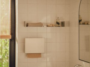 Fink RAWW popierinių rankšluosčių dozatorius