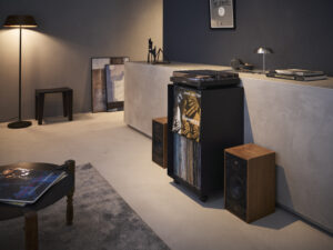 Yamazaki Tower dviejų pakopų įrašų lentyna su ratukais